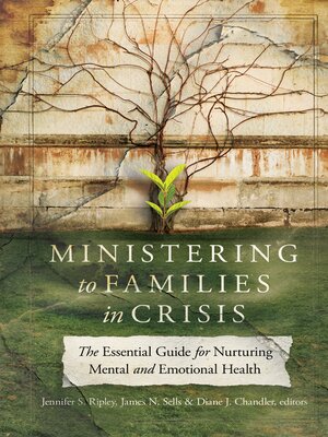 cover image of Ministering to Families in Crisis